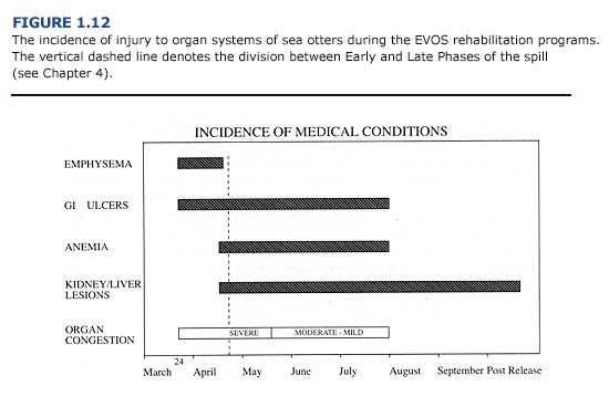 THe incidence of injury to organ system of sea otters during the EVOS rehabilitation programs