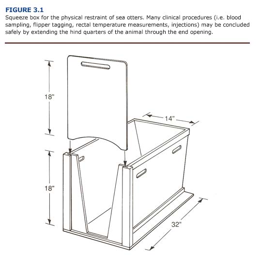 Squeeze box for the physical restrain of sea otters