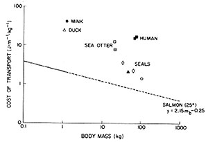 Natural History Hydrodynamic