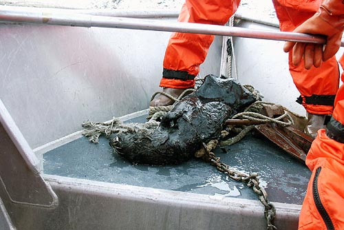 wreck-of-the-selendang-ayu (14)