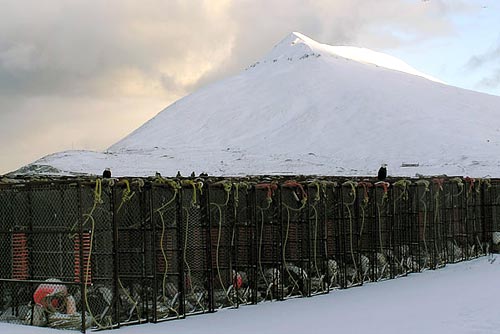 wreck-of-the-selendang-ayu (17)